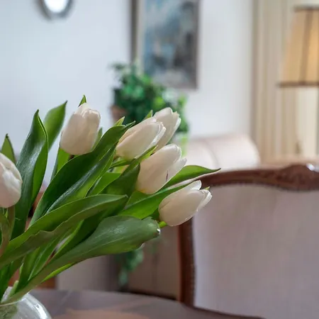 Frische Brise 12 01 דירה קושהאבן